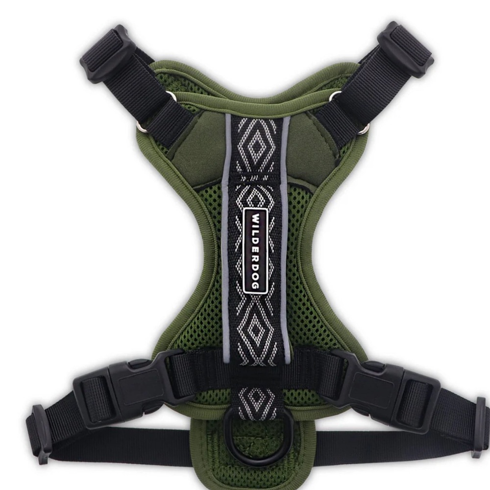 Wilder Dog Leash & Harness